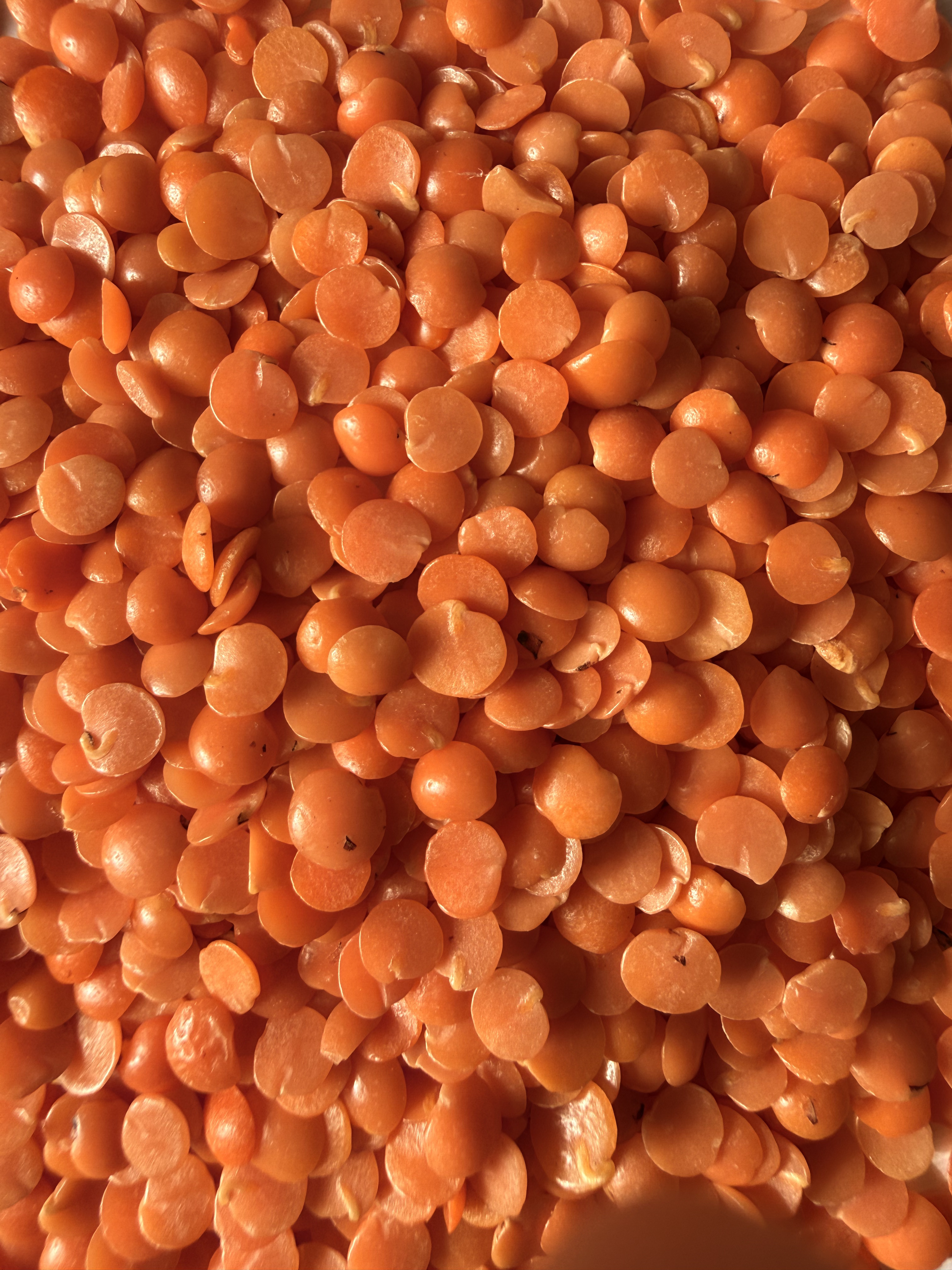 Masoor Dal